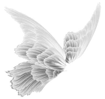 a black and white drawing of a bird