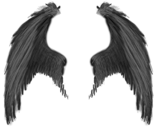 two black wings on a white background