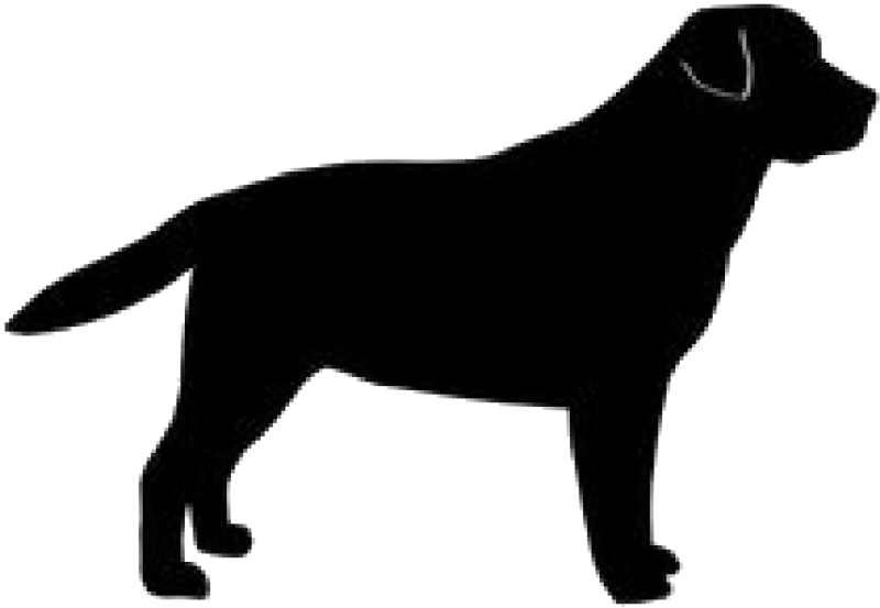 a black dog silhouetted on a white background
