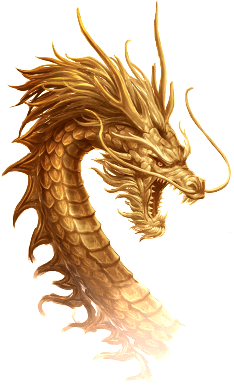 a golden dragon on a white background