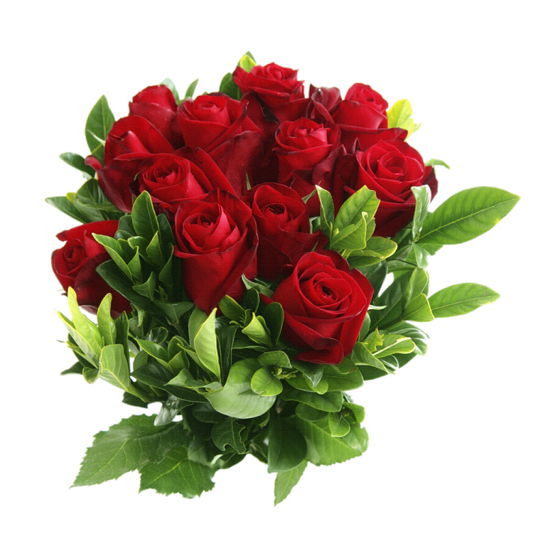 a bouquet of red roses on a white background