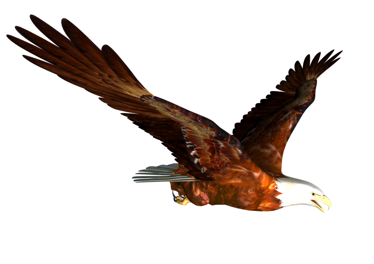 an eagle flying in the air with its wings spread