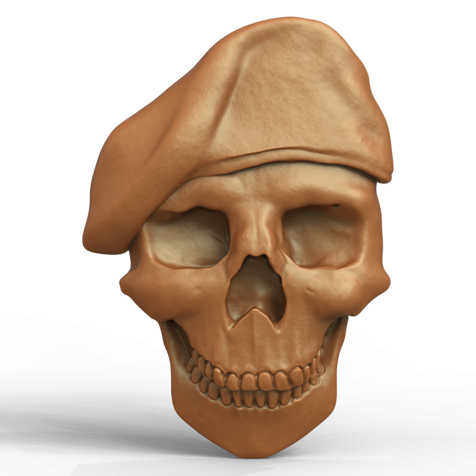 a skull with a hat on top of it
