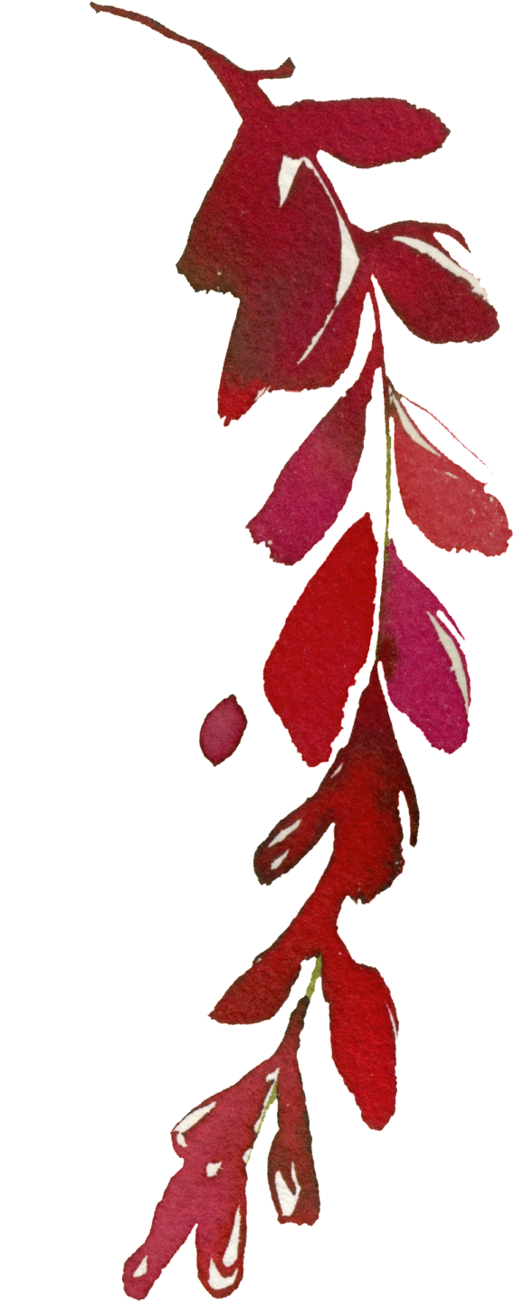 a watercolor painting of red leaves