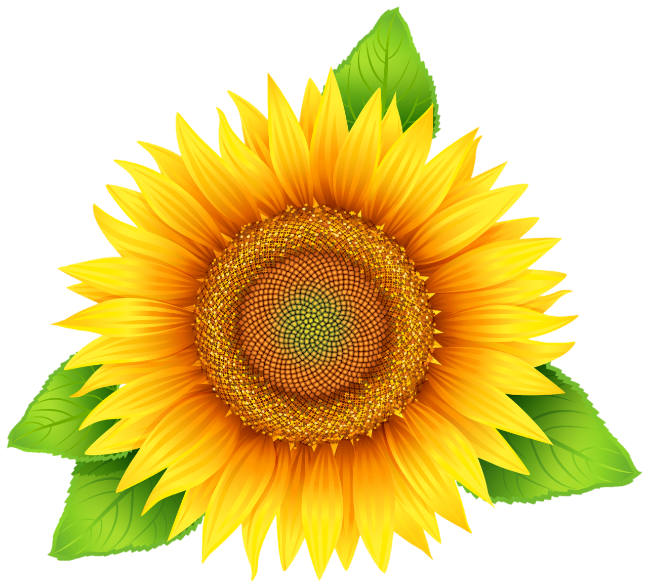 a sunflower with green leaves