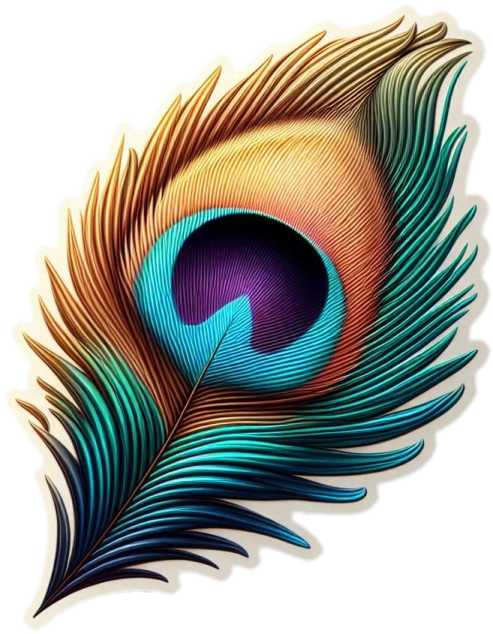 a peacock feather on a white background