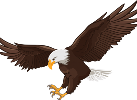 an eagle flying with its wings spread