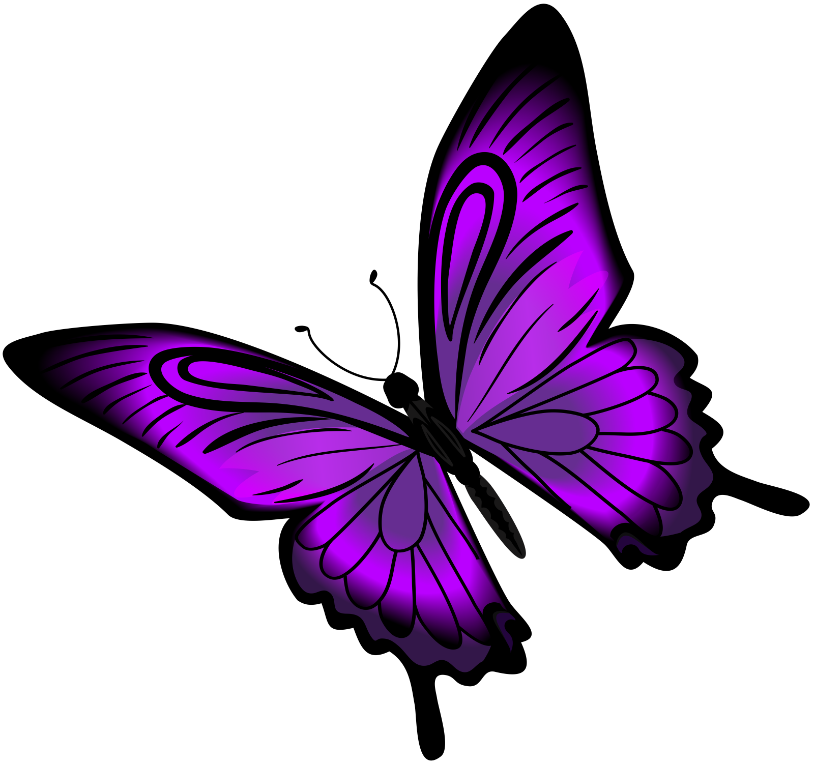 a purple butterfly on a white background