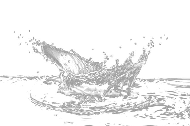 a splash of water on a white background