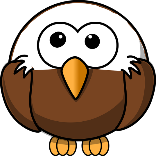 a brown and white owl with big eyes