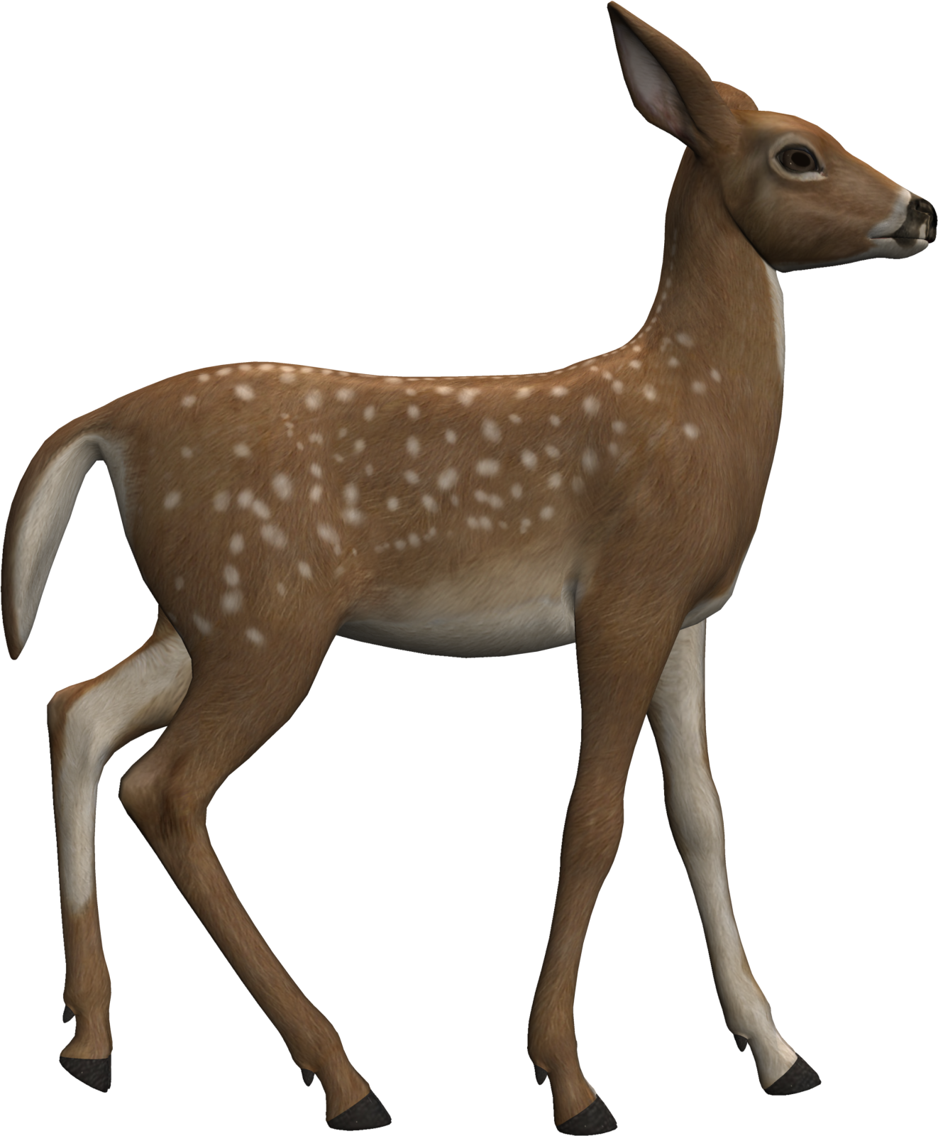 a small deer walking across a white surface