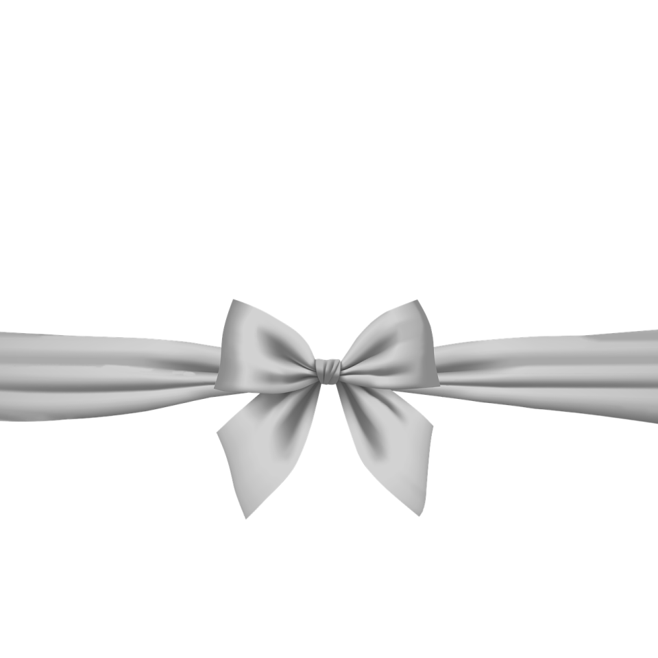a silver bow on a white background
