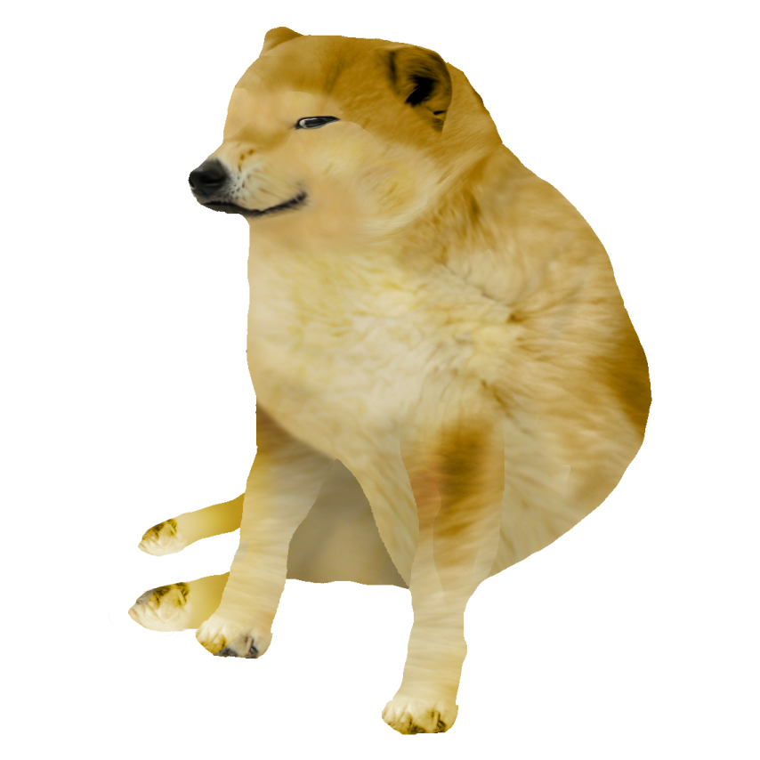 a dog is sitting on its hinds