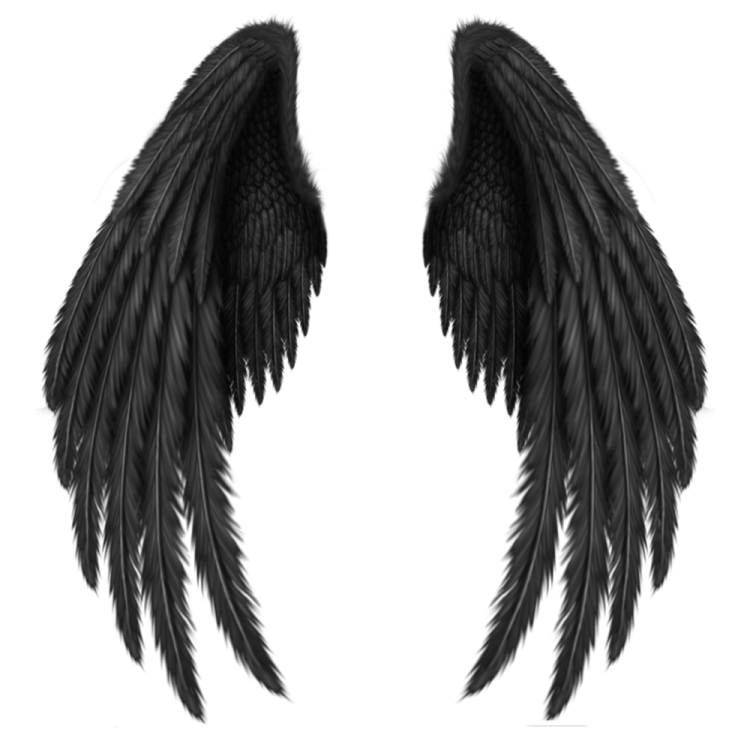 two black wings on a white background