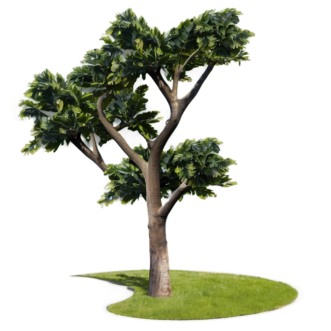 a tree with green leaves on a white background