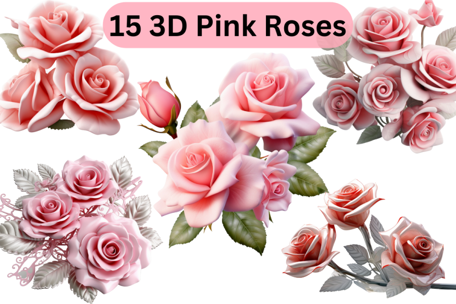 15 pink roses transparent png