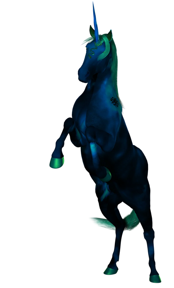 a black unicorn standing on its hinds