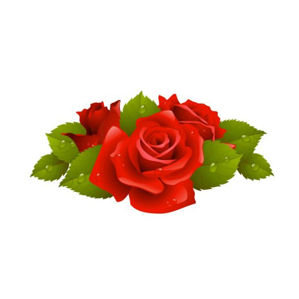a bouquet of red roses with green leaves