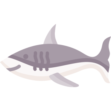 an illustration of a killer whale