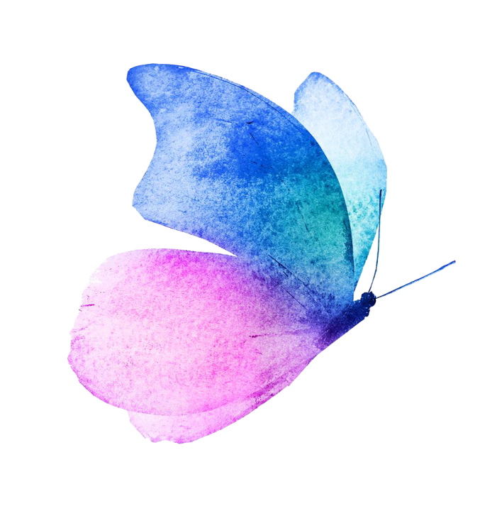 a watercolor butterfly on a white background