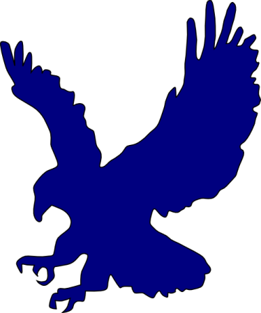 an eagle flying in the air