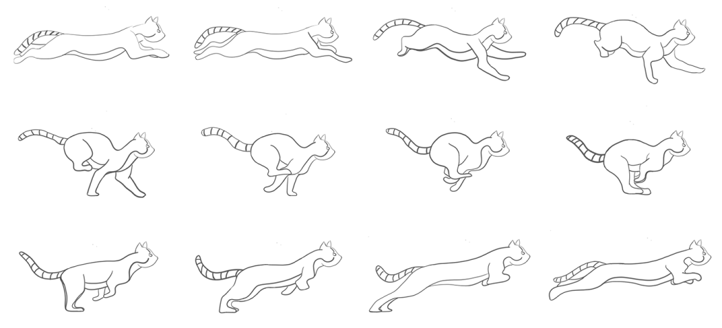 how to draw a cat