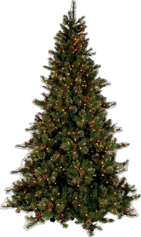a christmas tree with lights on it