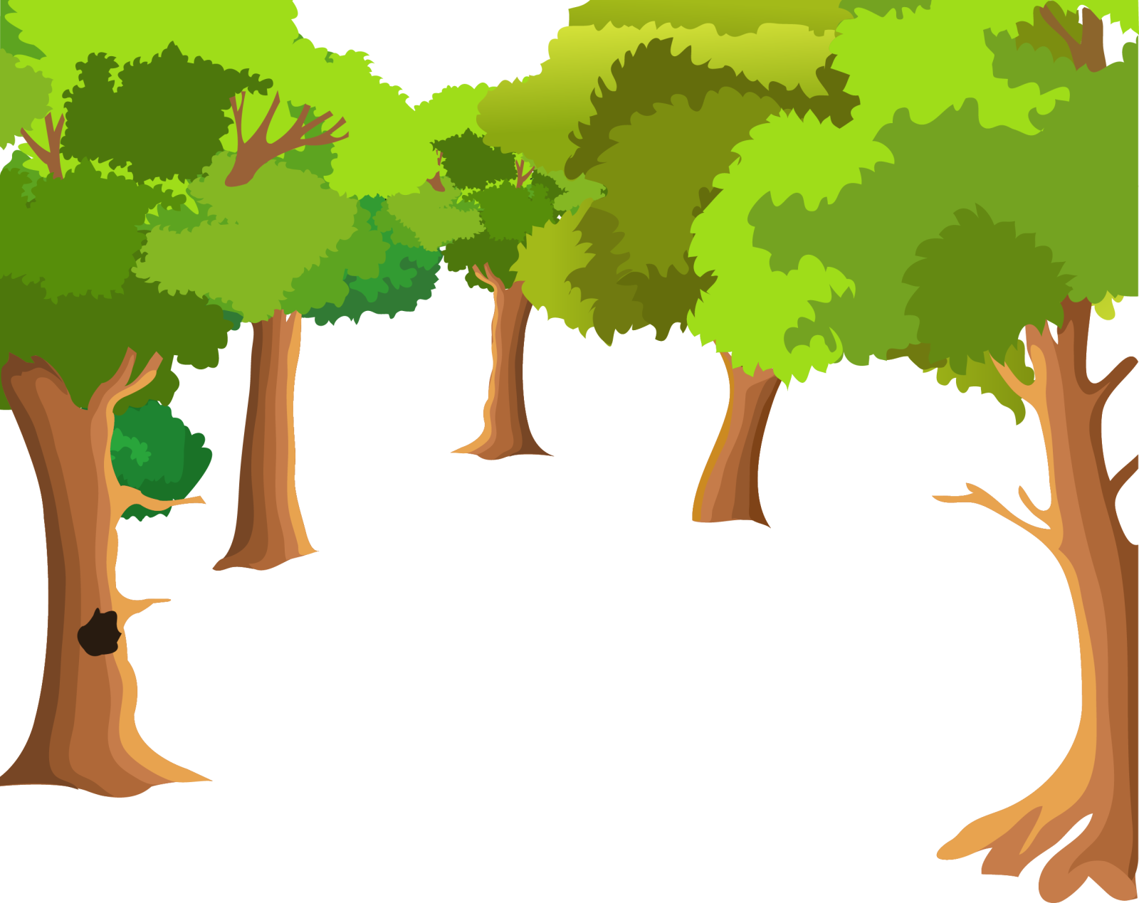 a row of trees with green leaves