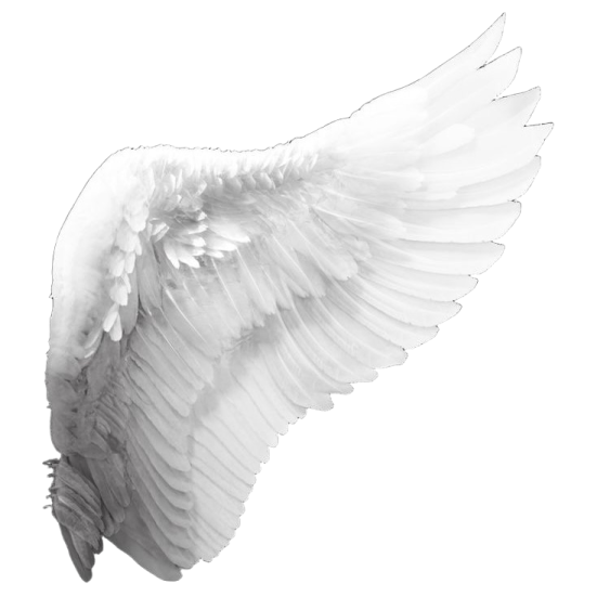 an image of a white angel wings