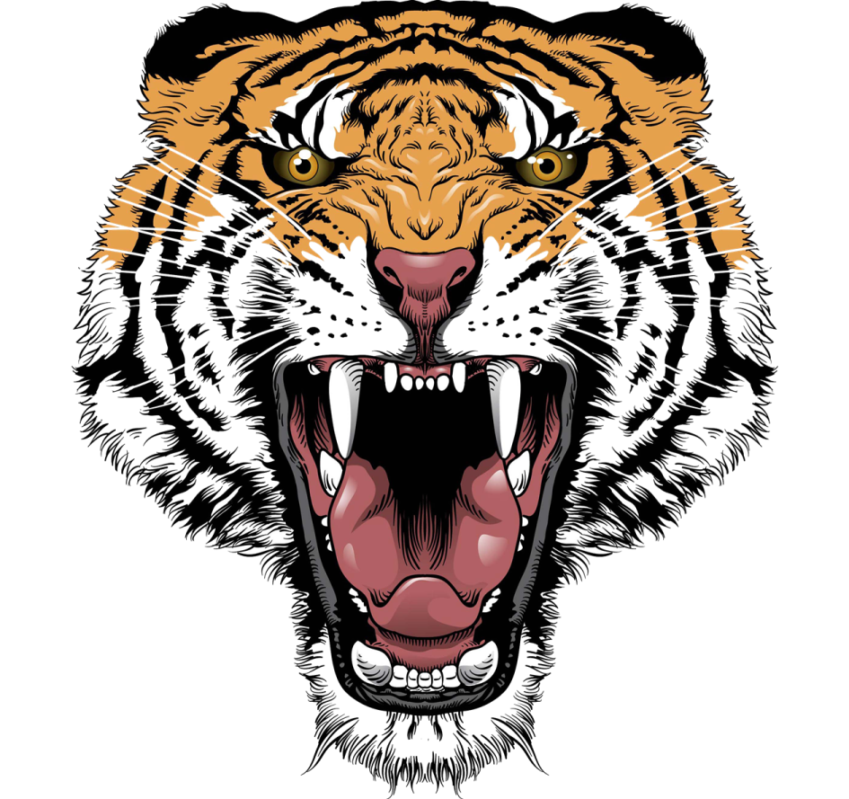 the head of a tiger with an open mouth
