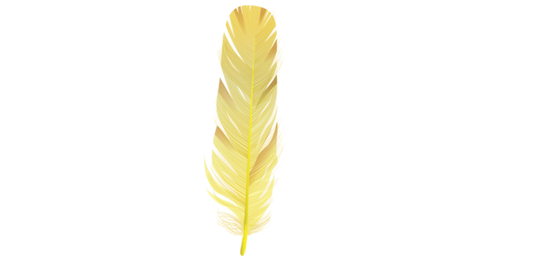 a yellow feather on a white background
