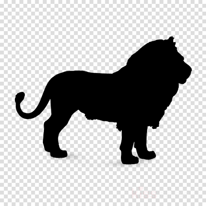 a silhouette of a lion on a transparent background