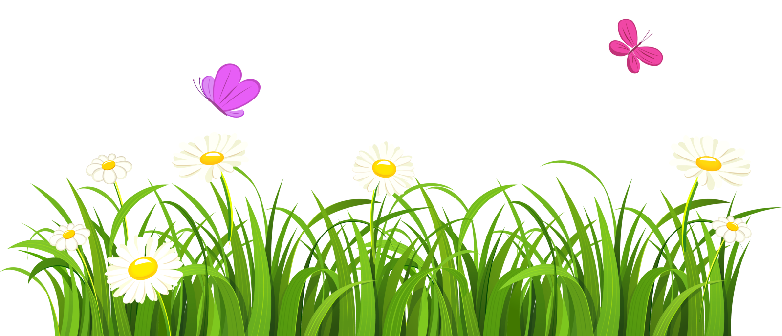 grass and flowers clipart