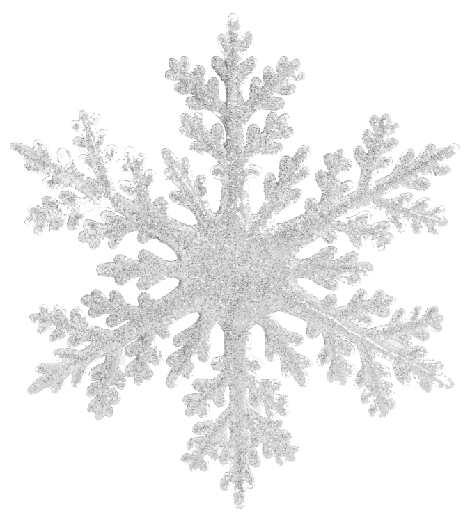 a silver snowflake on a white background