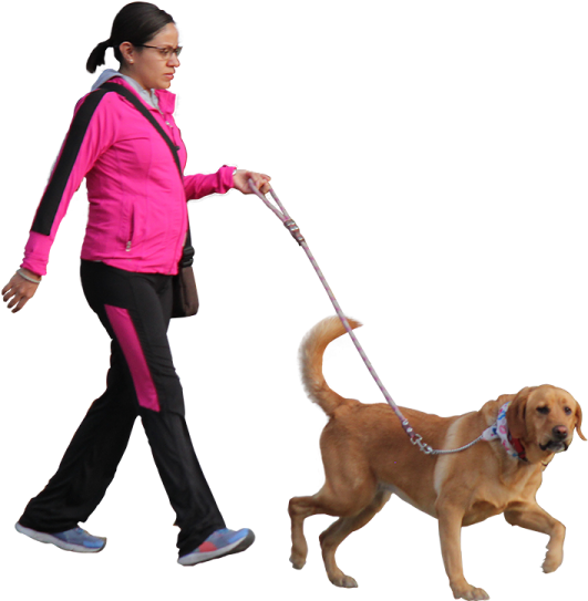 a woman walking a dog