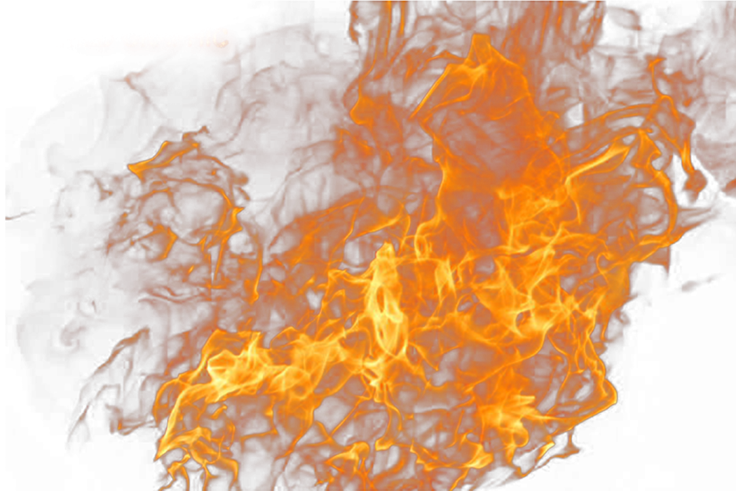 fire flames on a white background