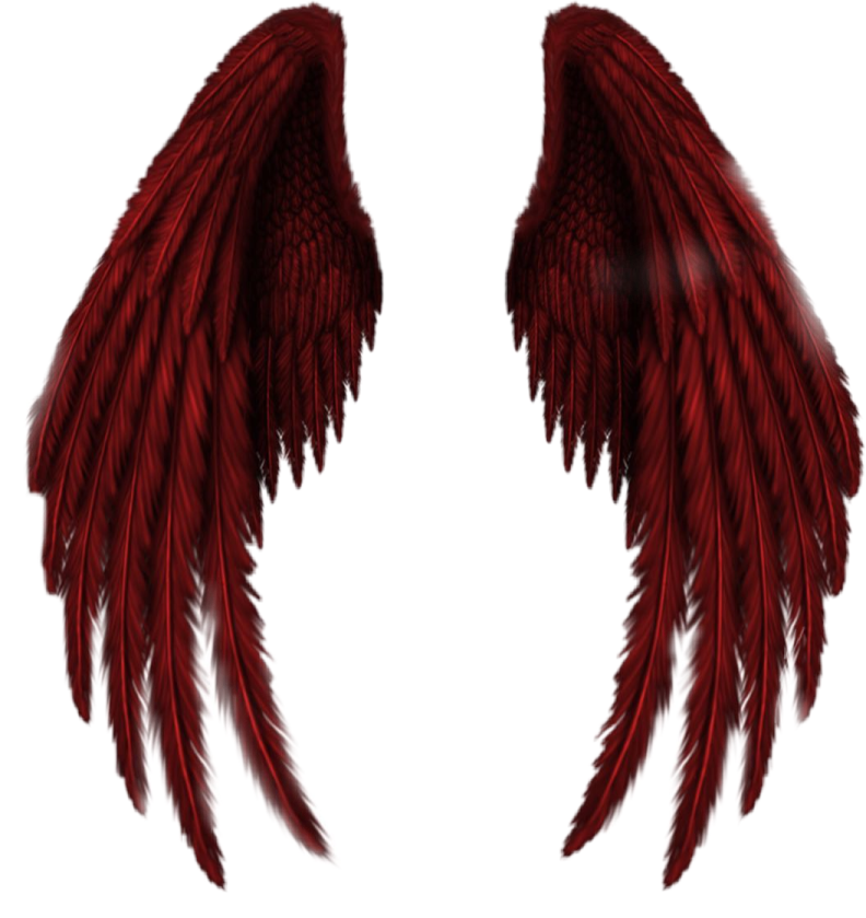 two red wings on a white background