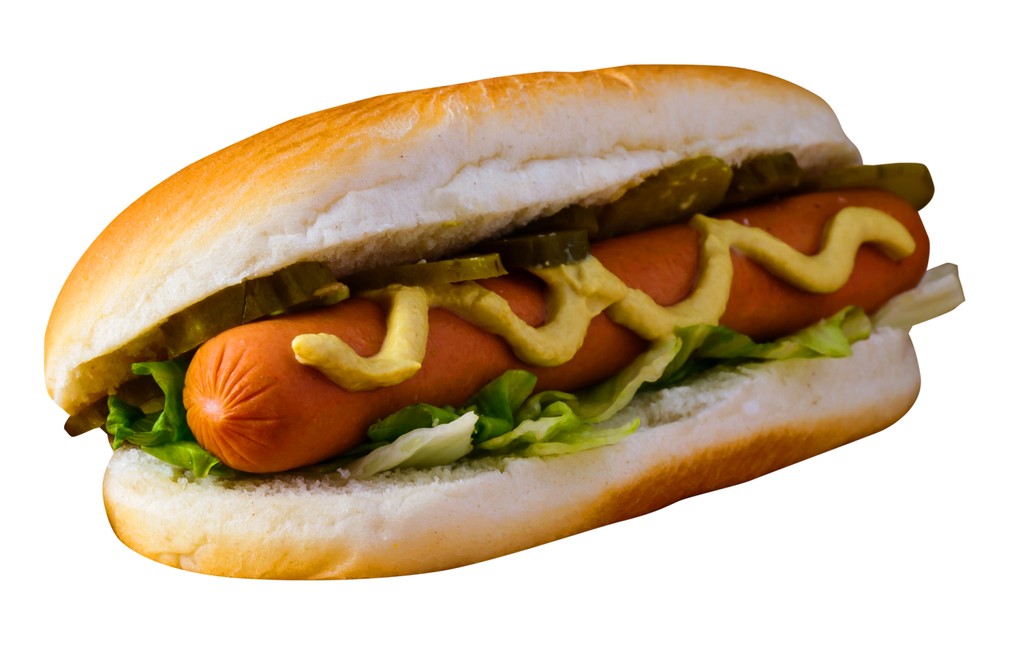 a hot dog on a bun