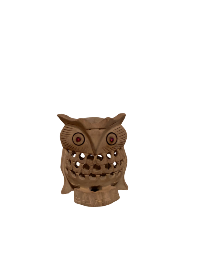 an owl head on a white background