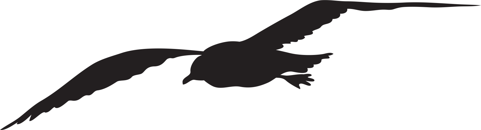 a black and white silhouette of a bird