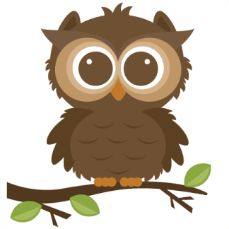 a brown owl sitting on a branch