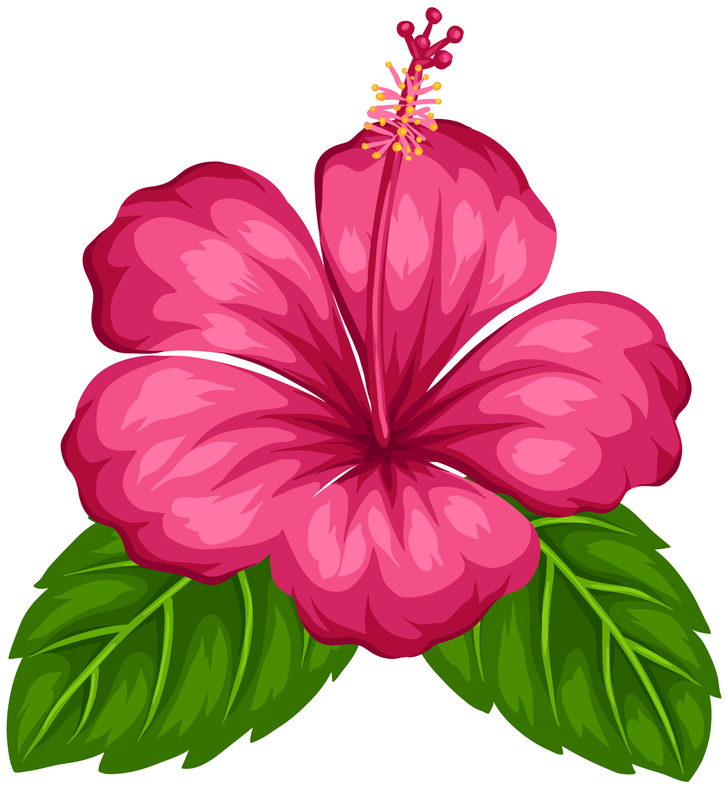 a pink flower on a white background