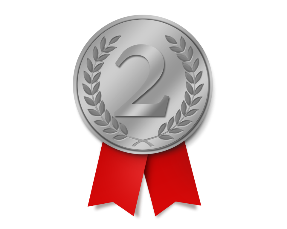a silver medal with a red ribbon around it