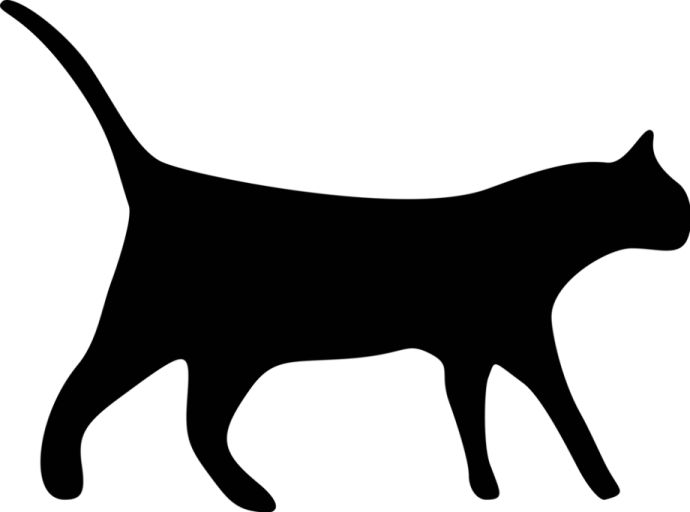 a black cat silhouetted on a white background