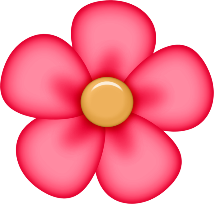 a pink flower on a white background