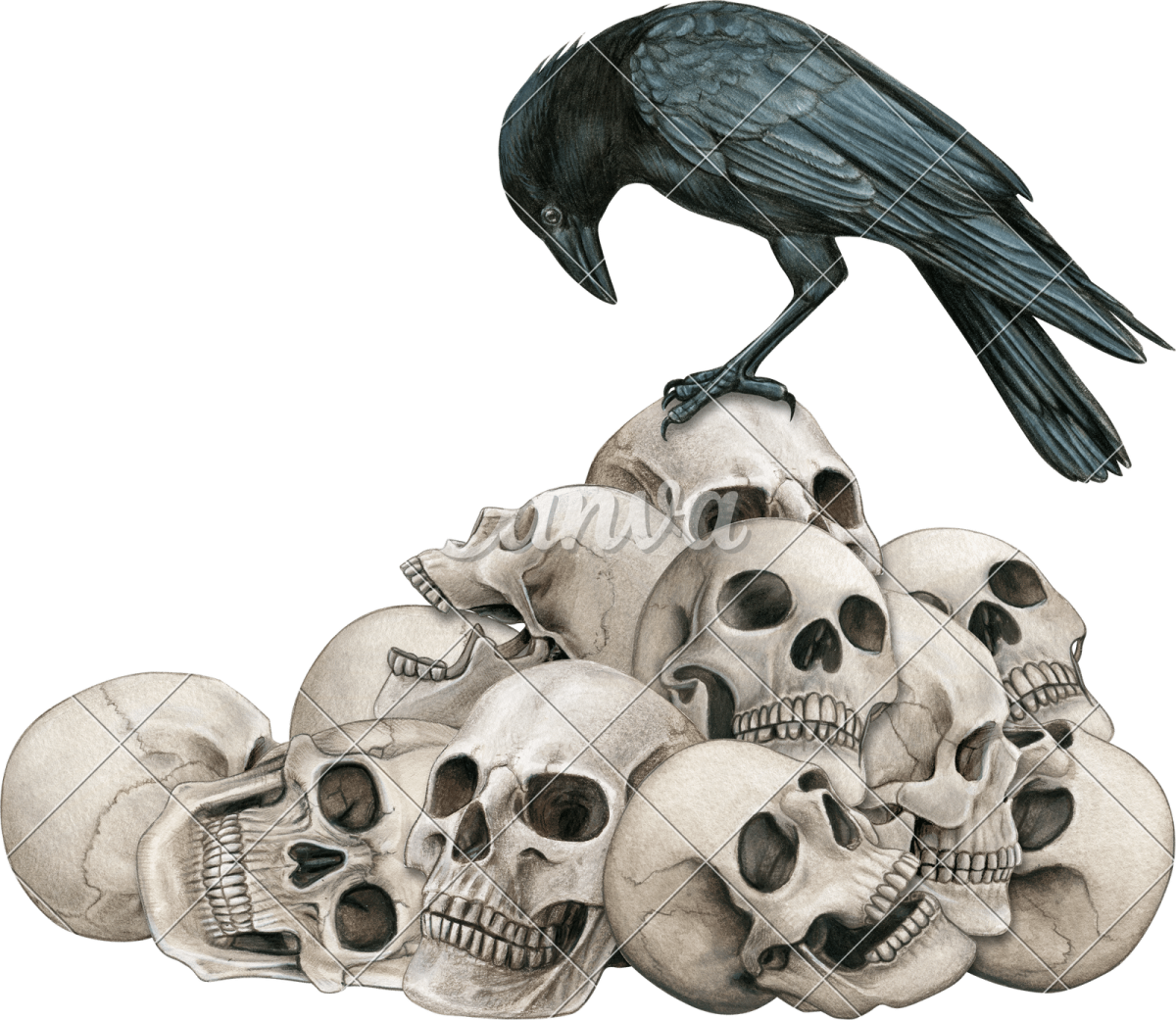 a crow sitting on top of a pile of skulls