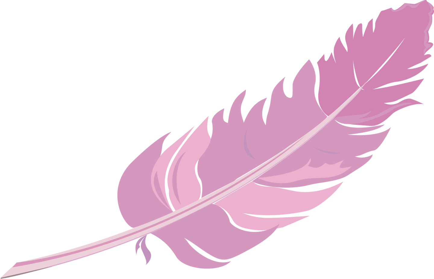 a pink feather on a white background
