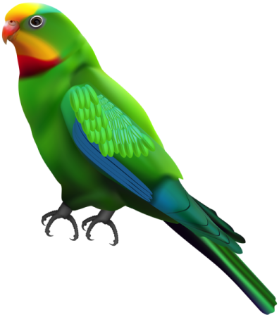 a green parrot with red and yellow feathers