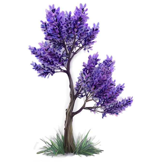 a purple flower tree on a white background
