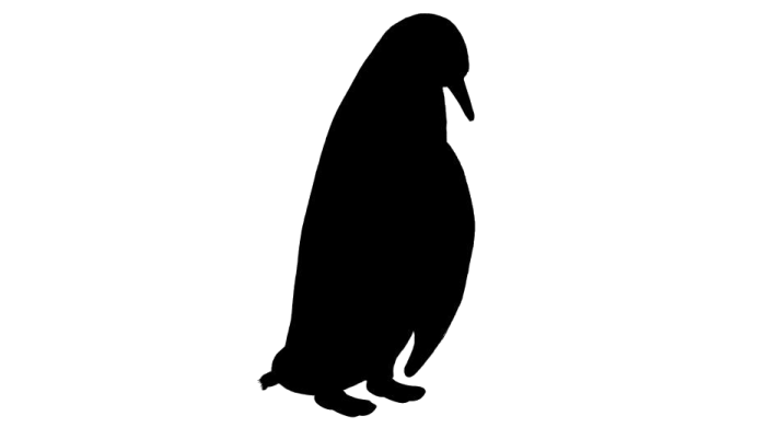 a penguin silhouetted on a white background